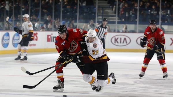 FLAMES BLOW AWAY WOLVES IN THE WINDY CITY