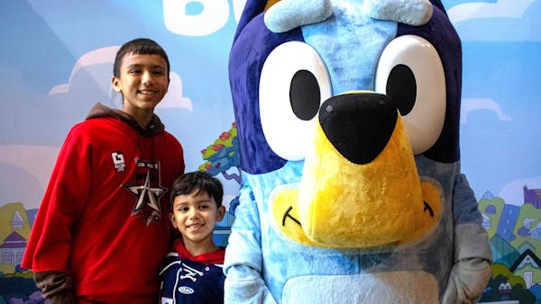 BLUEY NIGHT