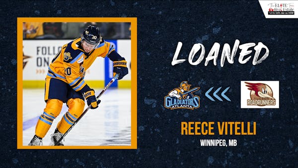 Reece Vitelli Loaned Back to the Glads