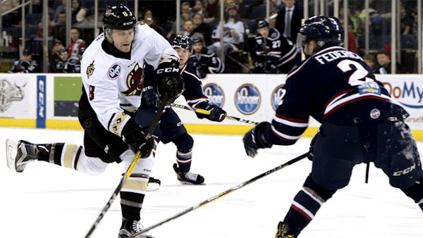 Glads Drop 2-1 Decision to Stingrays