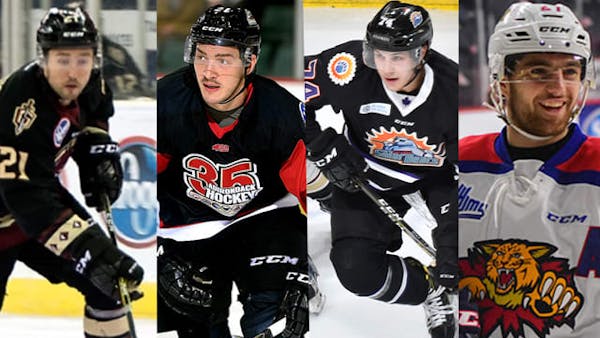 Four Added to Gladiators Roster from AHL