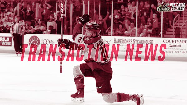 Gladiators Sign Forward Freschi, Bonar Returns