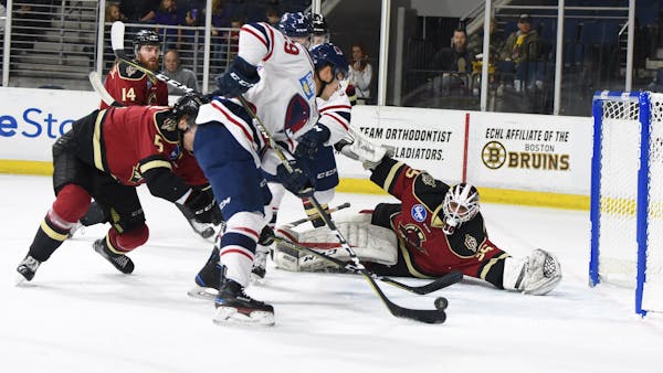 Wild One Goes to South Carolina 6-5