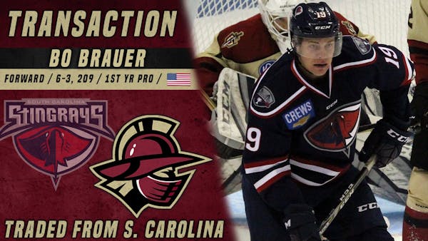 Atlanta Gets Forward Bo Brauer in Trade with Stingrays