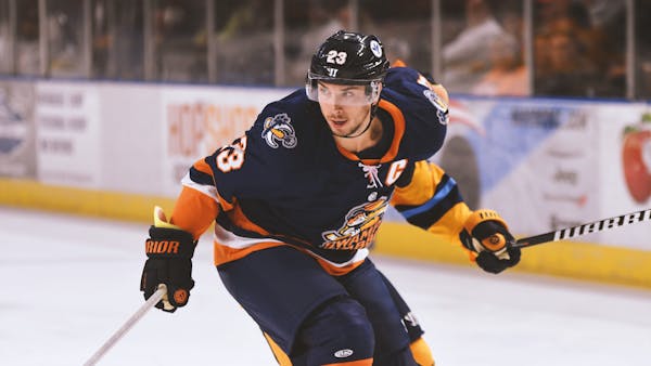 Glads add decorated forward Michael Pelech