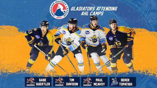 Gladiators Send Four to AHL Training Camps
