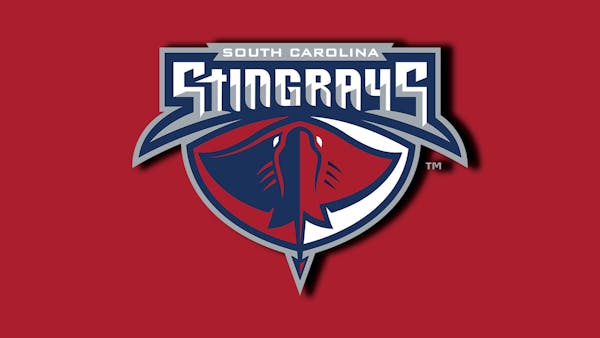 Stingrays name Warsofsky as head coach