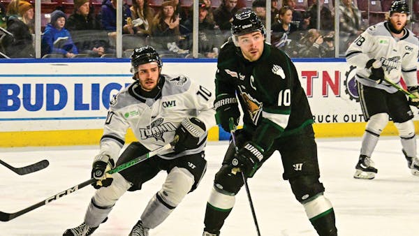 Grizzlies re-sign Messner
