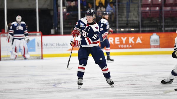Wilkins re-signs with Stingrays