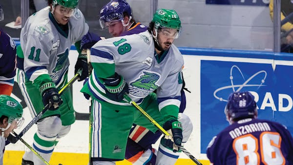 Brar returns to Everblades