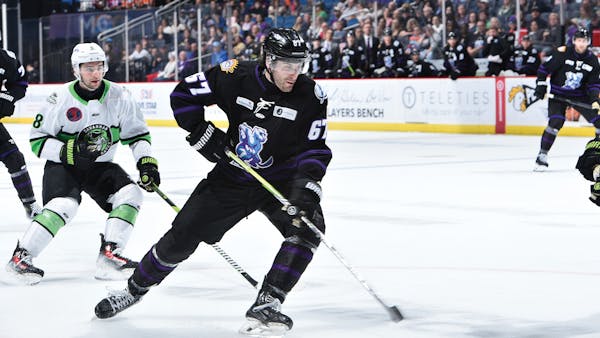 Kodsi returns to Solar Bears