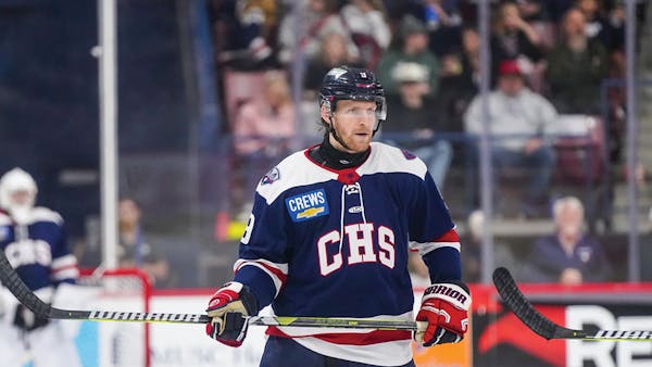 Webb returns to Stingrays