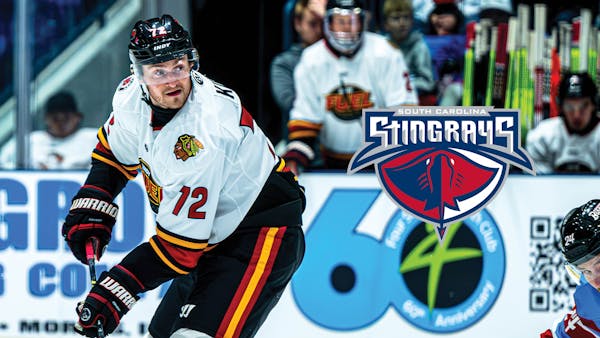 King joins Stingrays