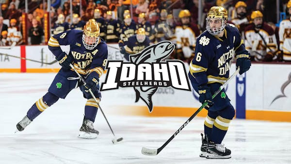 Steelheads add pair of rookies