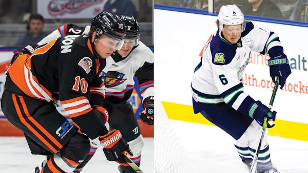 Komets bring back Patterson, add Willets