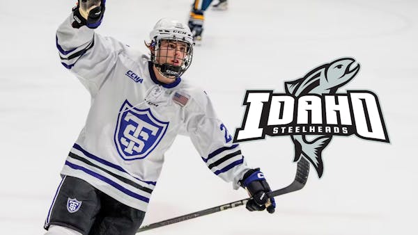 Malmquist inks deal with Steelheads