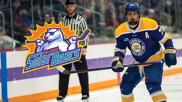 Schiavon joins Solar Bears