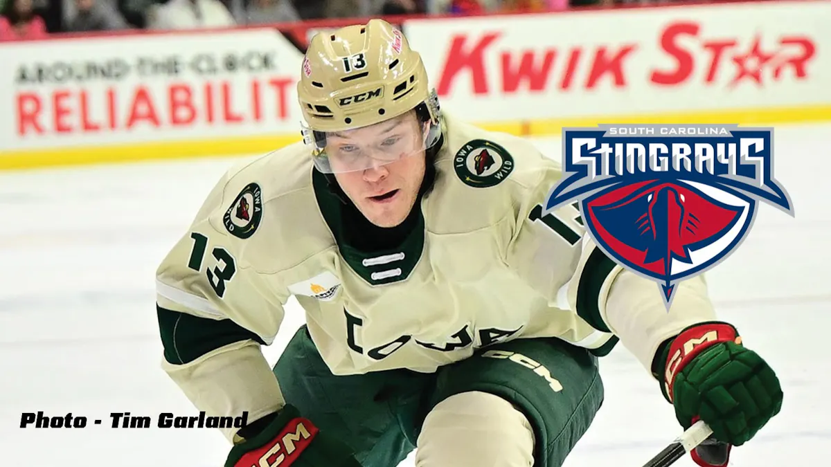 Sandelin joins Stingrays