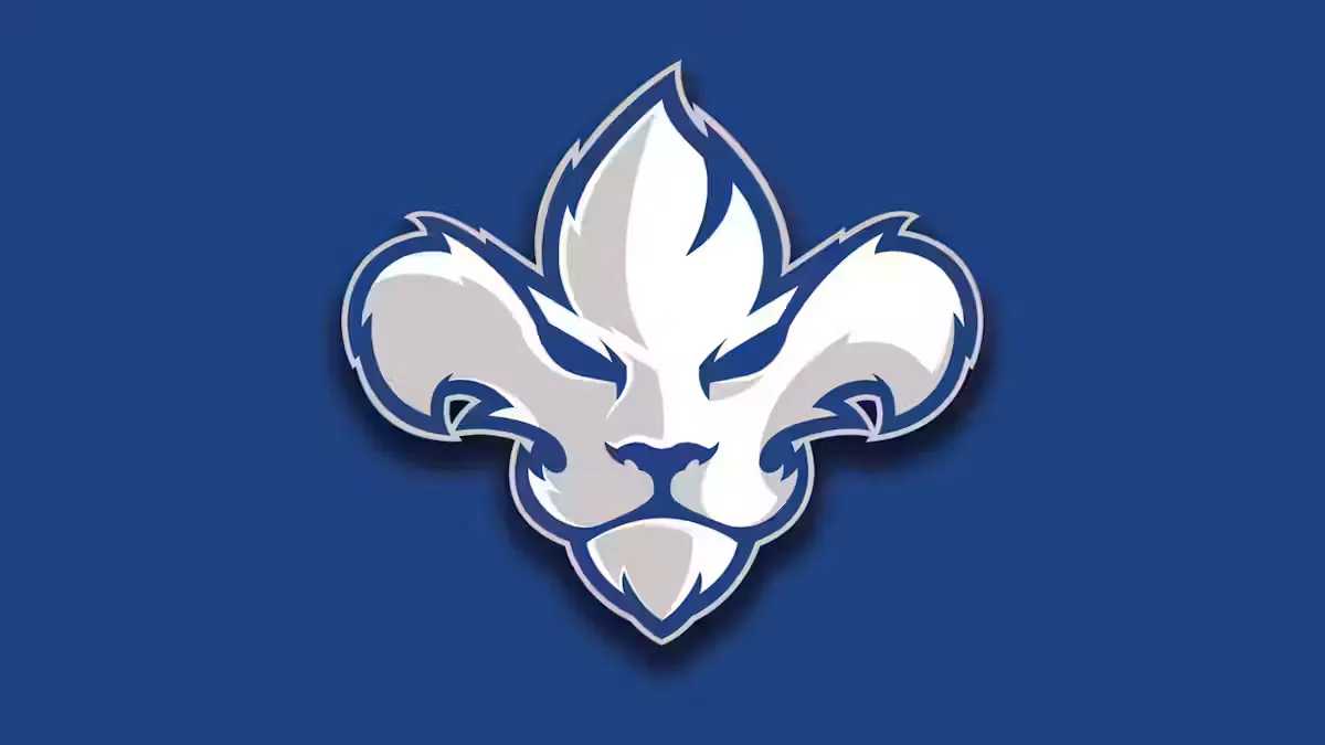 Tesink agrees to terms with Lions