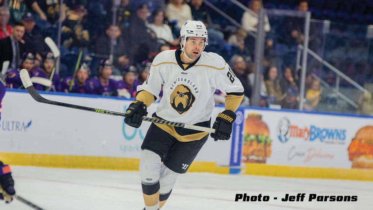 Newfoundland's Johnson named Warrior Hockey/ECHL Player of the Month