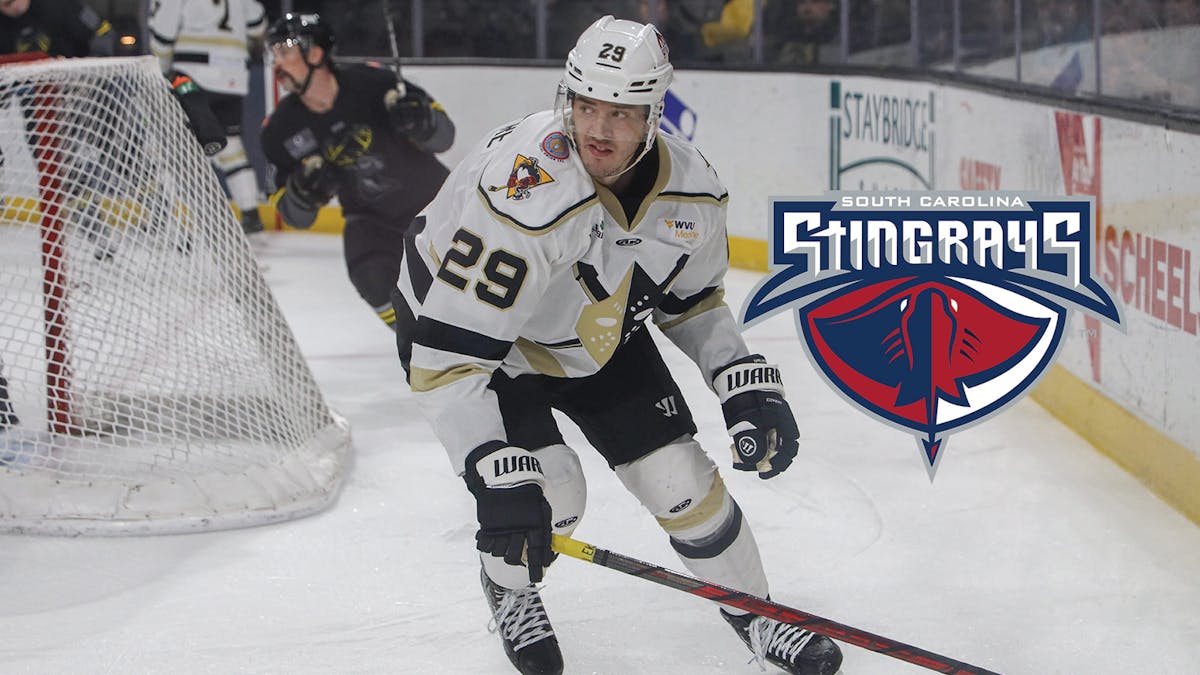 DiLiberatore signs with Stingrays