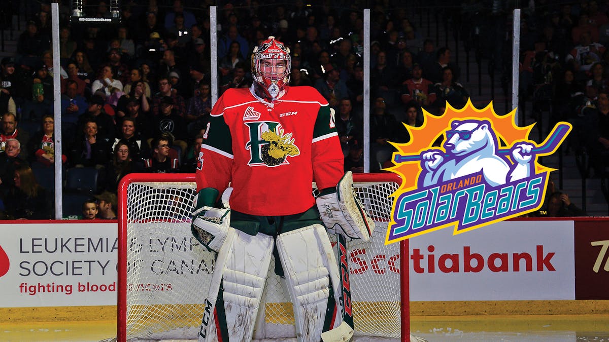 Action photo of Alexis Gravel