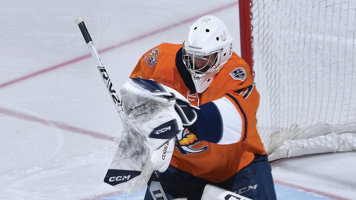 Action photo of Luke Richardson of the Greenville Swamp Rabbits