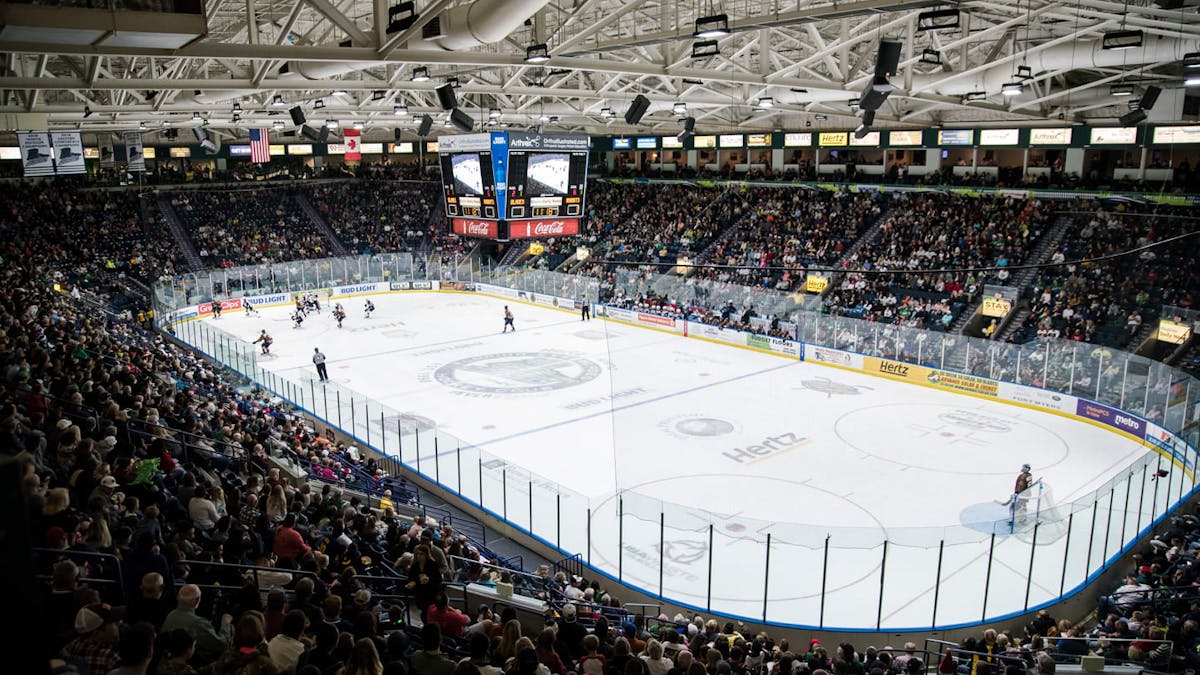 Everblades single-game tickets now on sale
