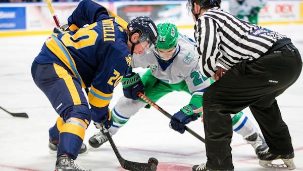 Blades Welcome Gladiators to Hertz