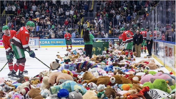 Florida Everblades Heartwarming Tradition Continues with the Return of Teddy Bear Toss