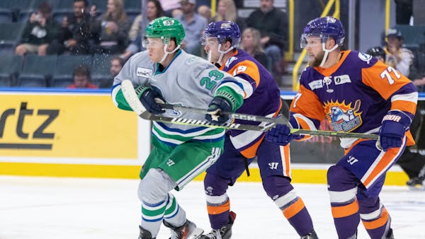 Everblades face Solar Bears at Hertz