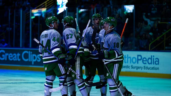EVERBLADES FALL TO SOLAR BEARS