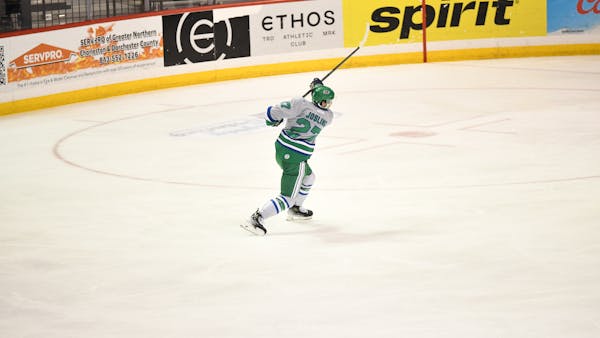 Blades Stung in 3-2 Loss to South Carolina