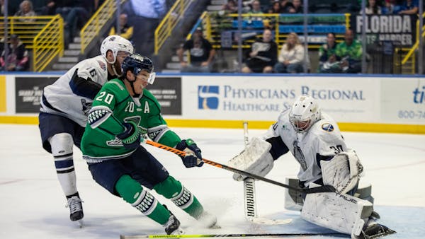 On a Three Game Streak, Blades Face Jacksonville