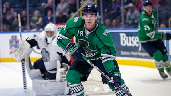 Everblades Face Off Against Icemen at Hertz
