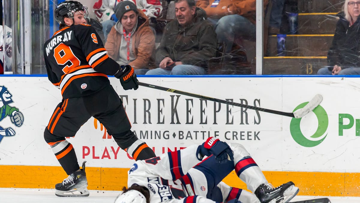 Komets crush Wings