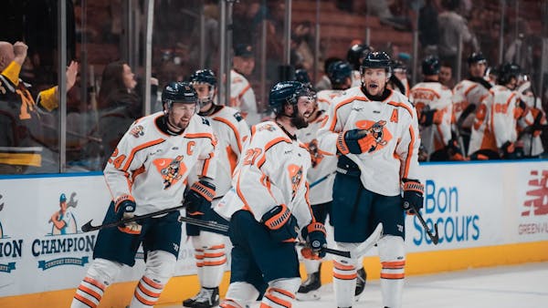 RABBITS RECAP: November 25th