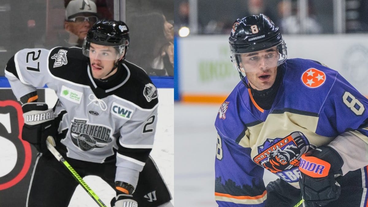 SWAMP RABBITS ACQUIRE ROMEO, SIGN OSIK