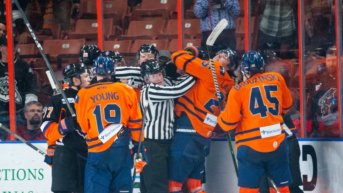 LATE RALLY FALLS SHORT FOR THE SWAMP RABBITS