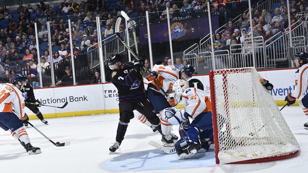 SWAMP RABBITS DROP FINAL GAME OF WEEKEND