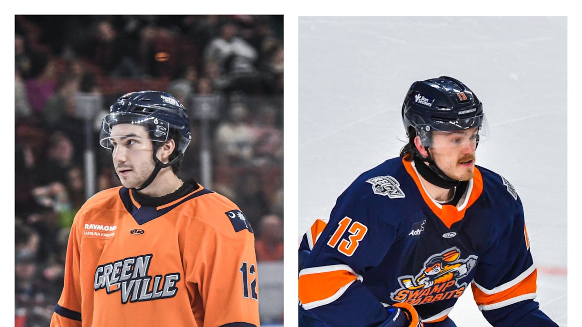 POISSON AND POWER RE-JOIN SWAMP RABBITS