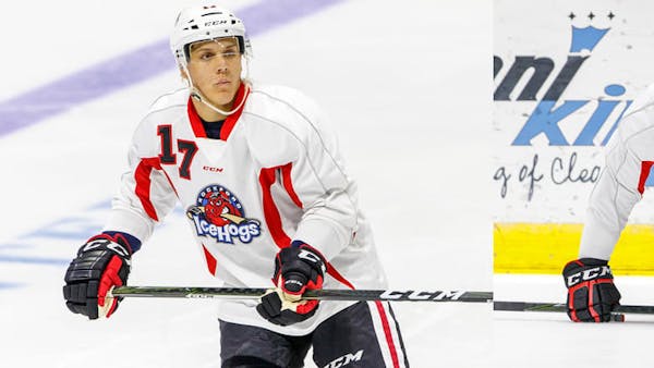 IceHogs assign two to Indy
