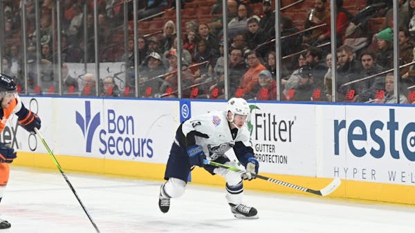 Bednard's 42 Saves Stymies Icemen in Weekend Finale