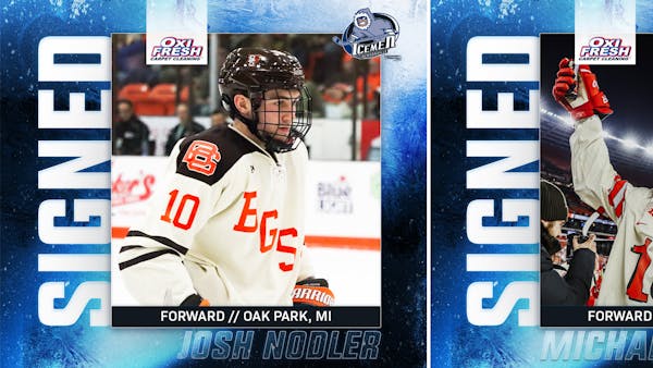 Icemen Add Rookie Forwards Josh Nodler & Michael Gildon