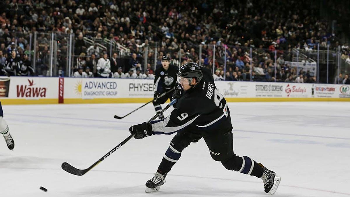 Icemen Take on Stingrays in South Carolina