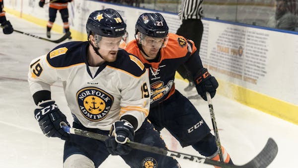 Swamp Rabbits Hop by Admirals in Overtime