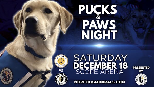 Defenseman Eric Williams Called Up To Chicago Wolves