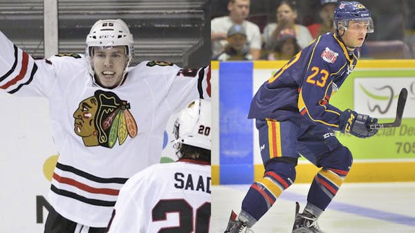 Admirals Add Two Forwards To Active Roster