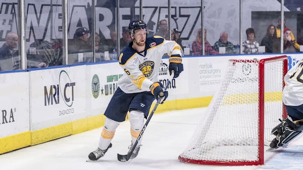 Admirals Drop Home Opener To Stingrays