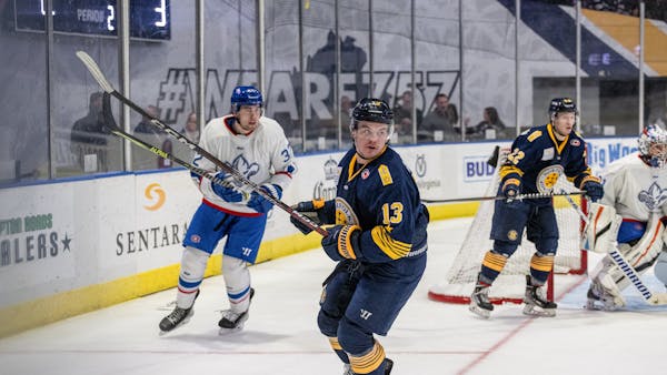 Admirals Fight To The End, Fall Just Short To Lions